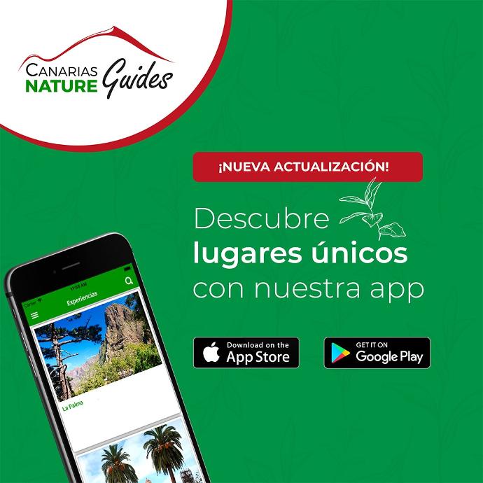 Odoo • Texto e imagen